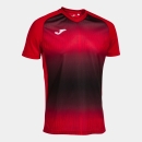 SV Kist Trainingsshirt, inkl. Wappen